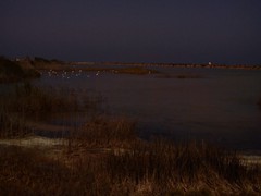 DSC00071