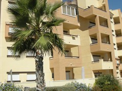 DSCN4879