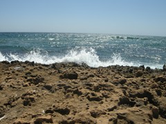 DSCN4924